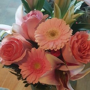 Meet your Posher, Regina